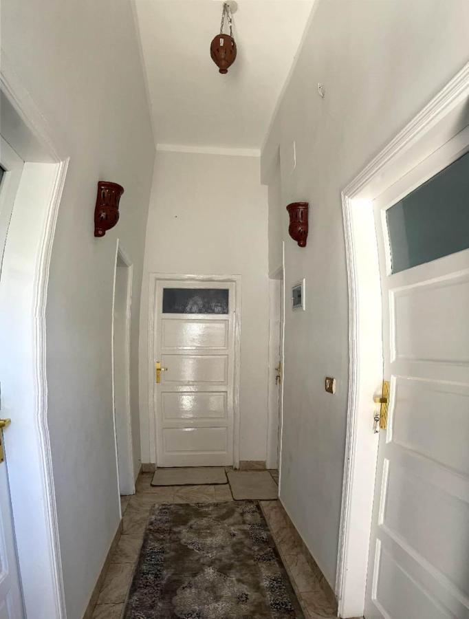 Luxor Oasis Guest House エクステリア 写真