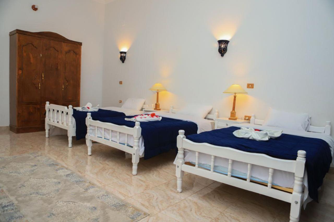 Luxor Oasis Guest House エクステリア 写真