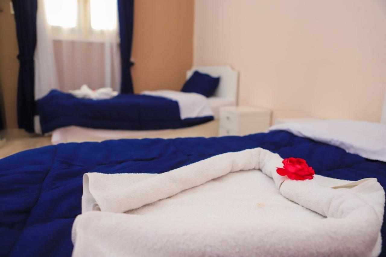 Luxor Oasis Guest House エクステリア 写真