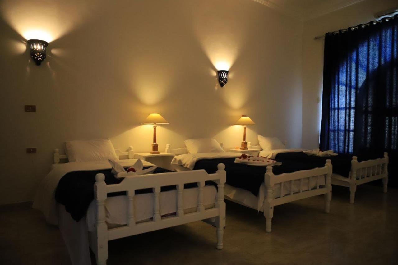 Luxor Oasis Guest House エクステリア 写真