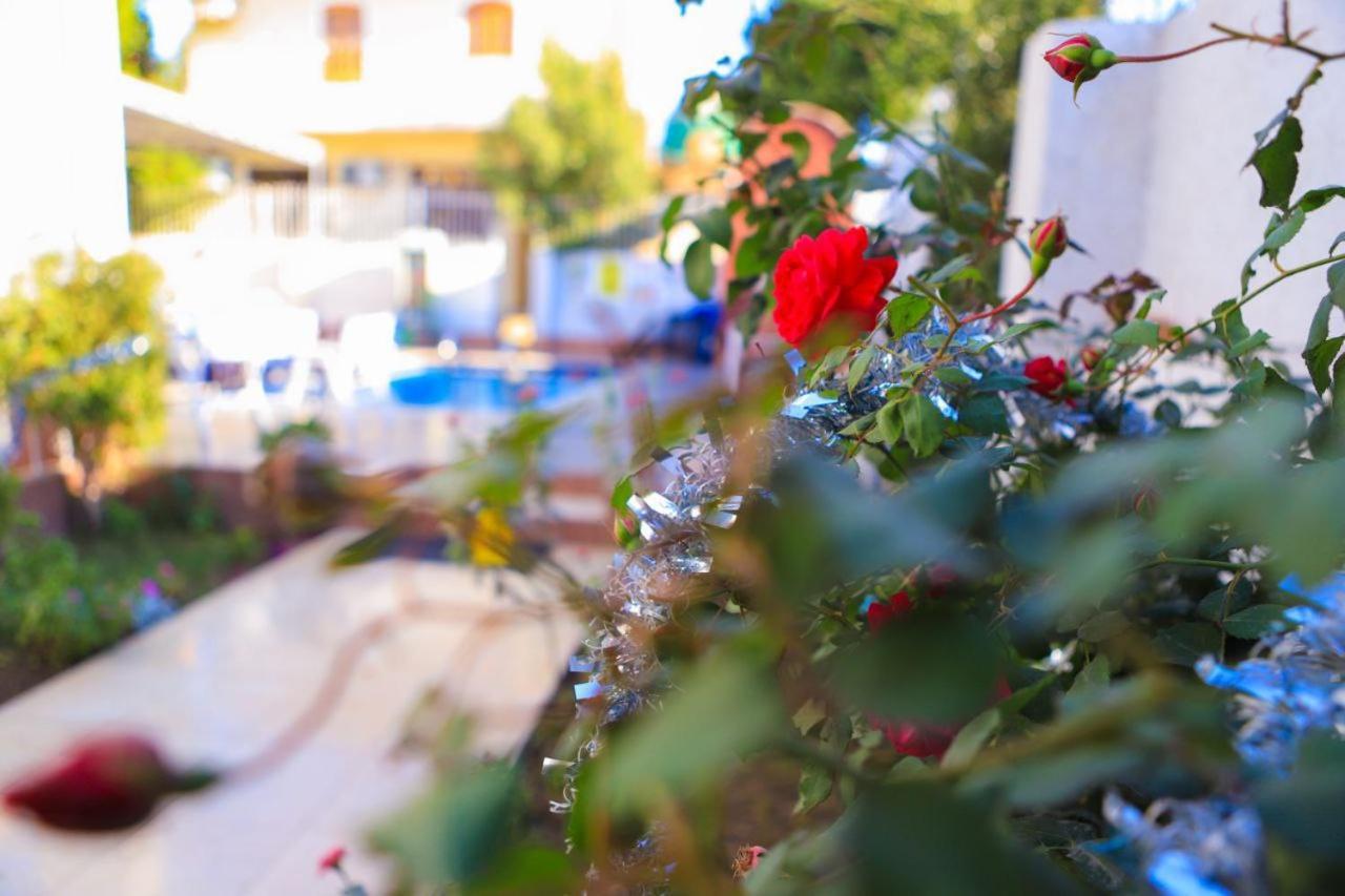 Luxor Oasis Guest House エクステリア 写真