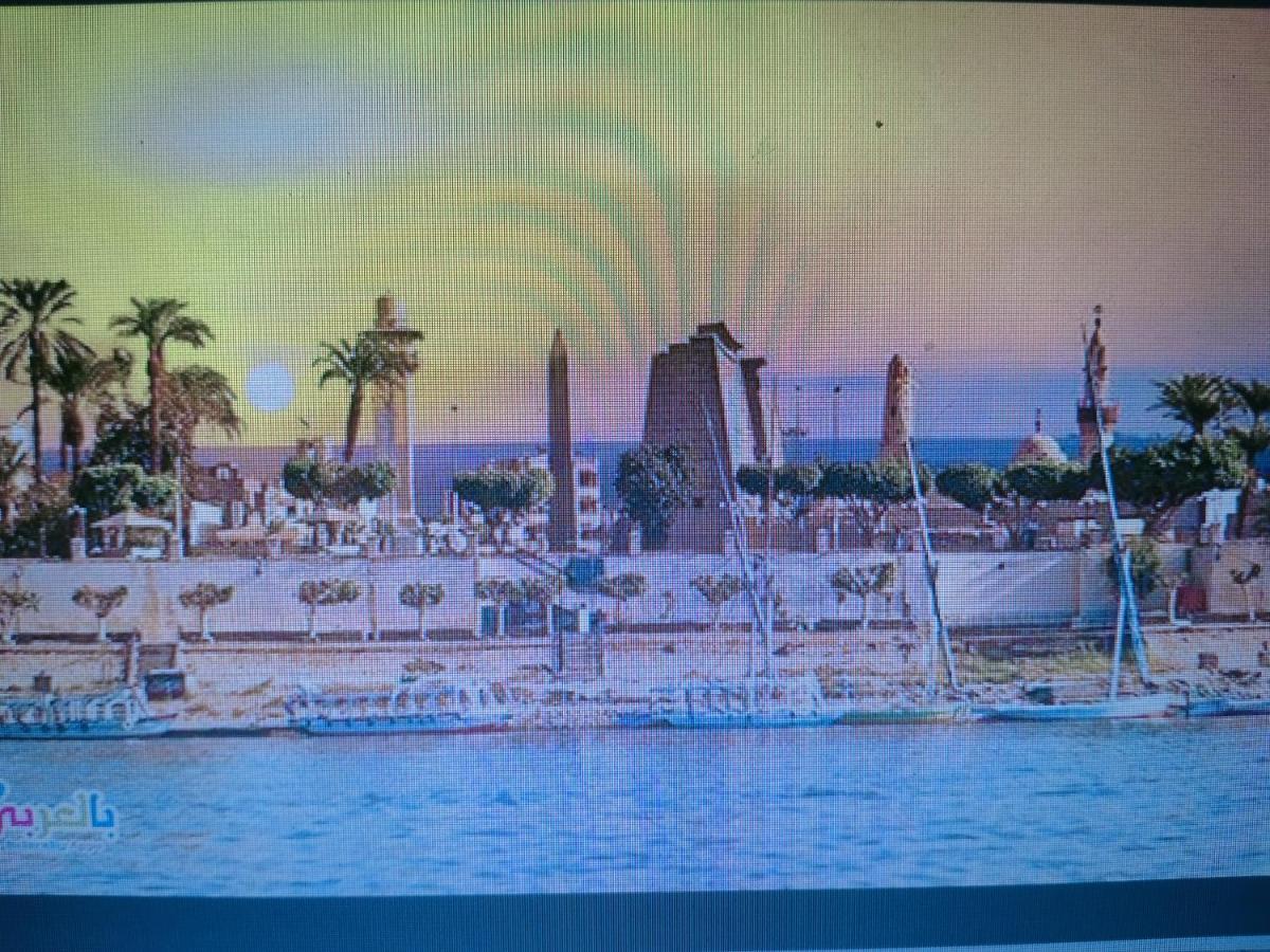 Luxor Oasis Guest House エクステリア 写真